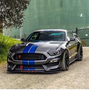 Meet your Posher, Freddie